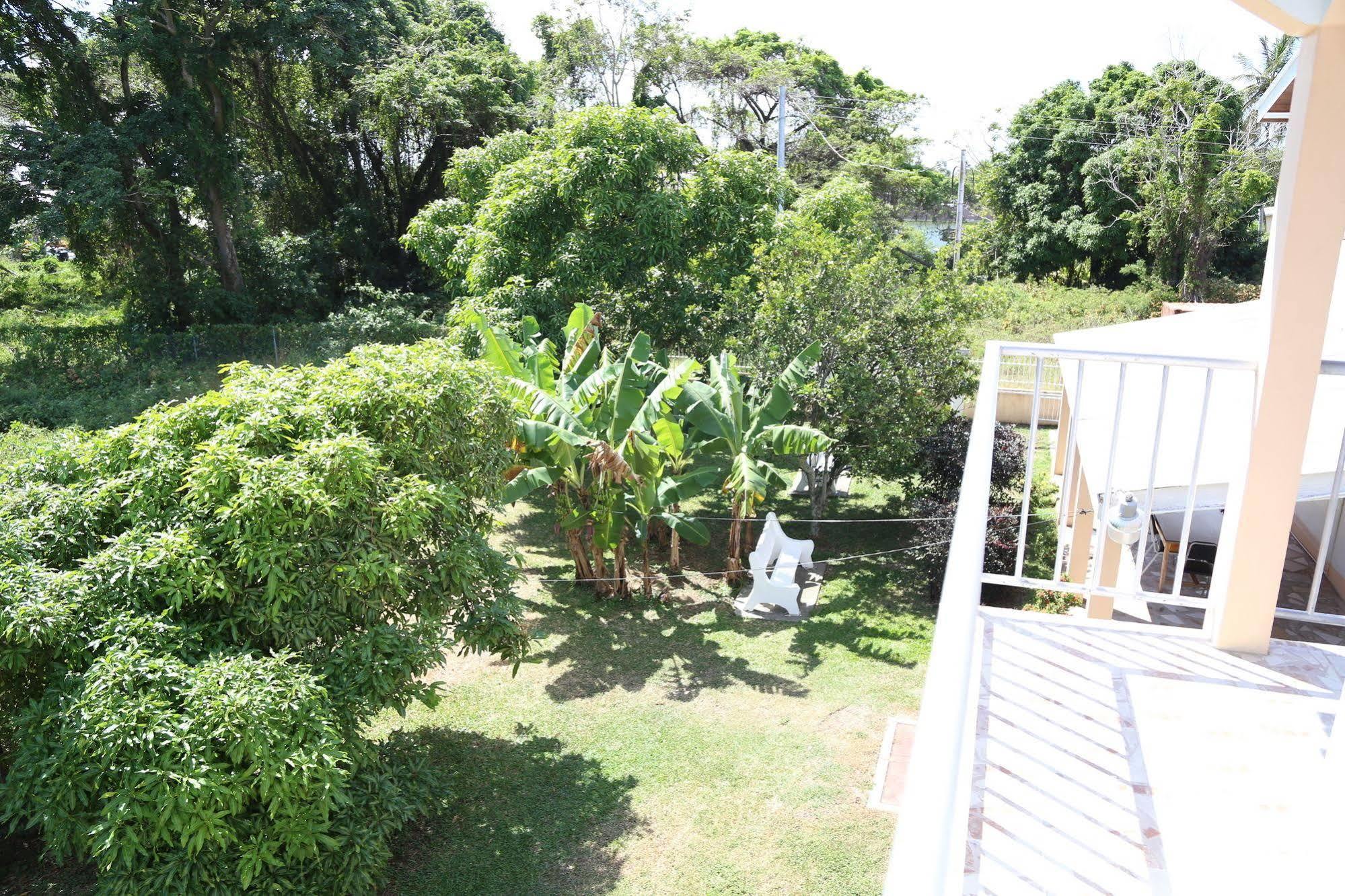 Lesville Tobago Canaan Kültér fotó